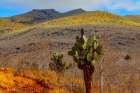 Landscape shot taken at the highest elevation of Isabela Island above Darwin Lake and Tagus Cove. Art Print
